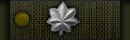 Lieutenant Colonel