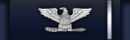 Colonel